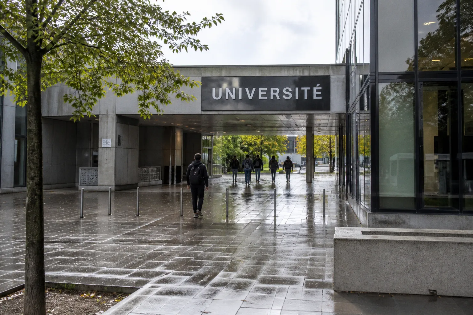 Licence pro ou bachelor : quel cursus pour votre projet ?