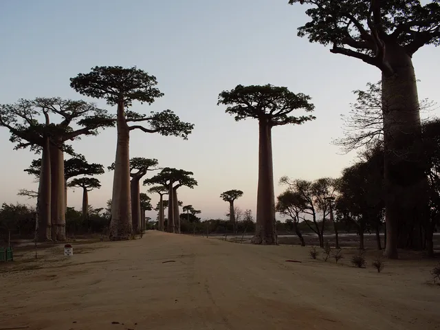 Paysage à Madagascar